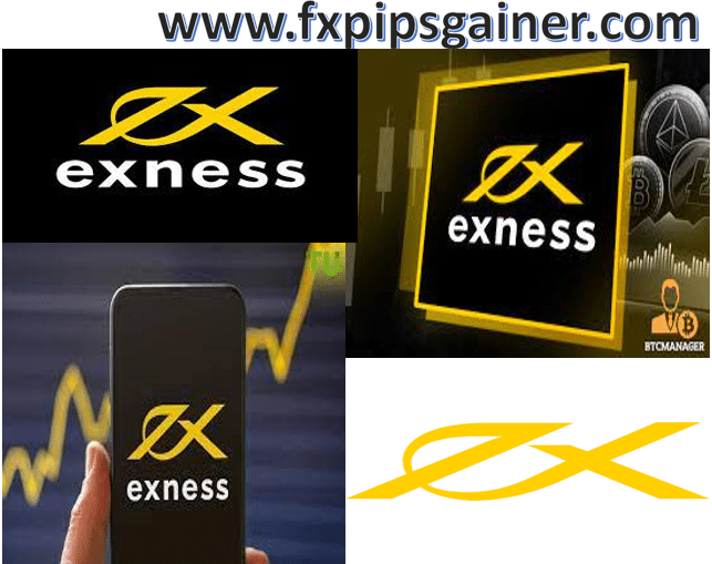Everything You Need to Know About Exness Trading Account 13 Everything You Need to Know About Exness Trading Account 13