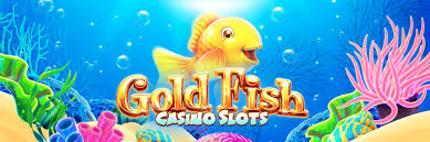 골드피쉬 도메인 신뢰와 가치를 찾는 방법