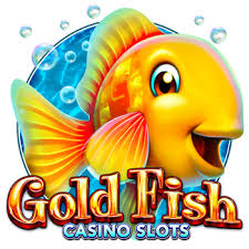 골드피쉬 도메인 신뢰와 가치를 찾는 방법